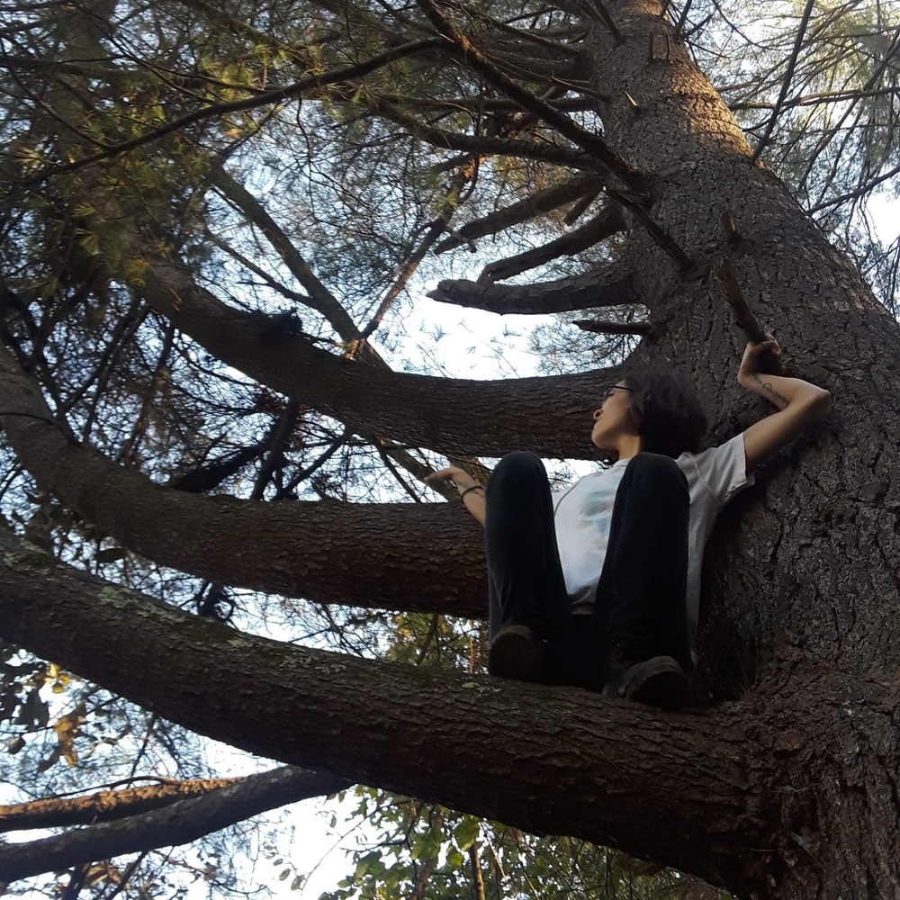 Meet your Posher, Elise